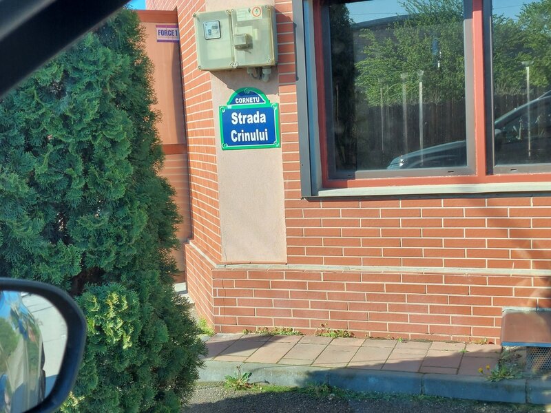 Cornetu, vanzare teren intravilan