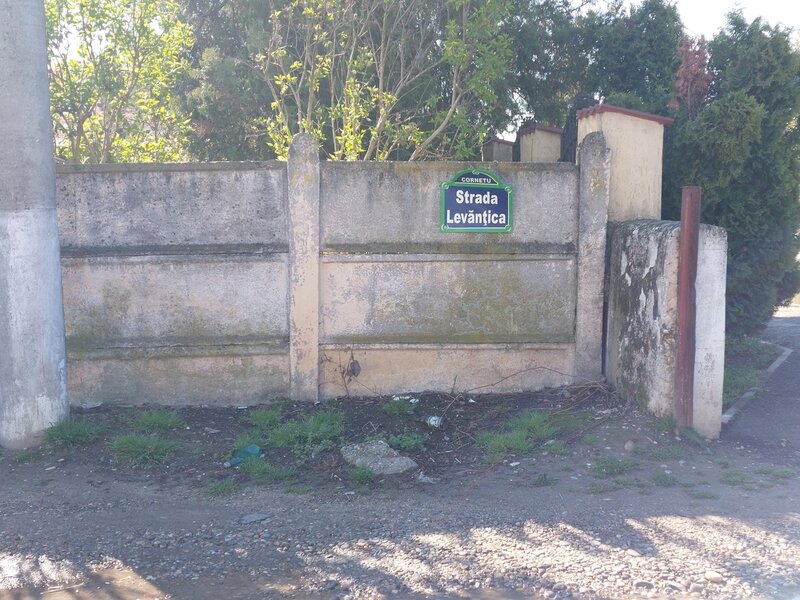 Cornetu, vanzare teren intravilan